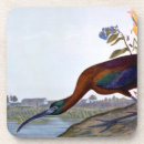 Search for glossy coasters Colourful