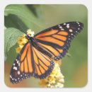 Search for monarch stickers Wildlife