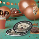 Search for cat birthday plates Animal