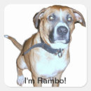 Search for angel dog stickers Angels