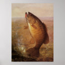 Search for largemouth posters Lake