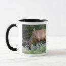 Search for frazier mugs Foliage