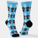 Search for blue socks Pet photo