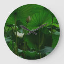 Search for lotus clocks Pond