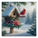 Search for cardinals in winter posters Nature