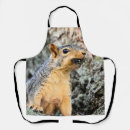 Search for cicada aprons Insect