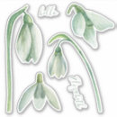 Search for hello spring stickers Watercolor