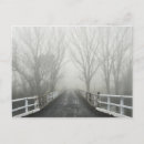 Search for bare tree postcards Silhouette