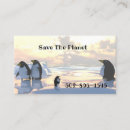 Search for penguin business cards Winter