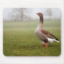 Search for goose mouse mats Bird