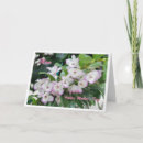 Search for nonna cards Mother