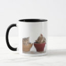 Search for sleeping kitten mugs Japan