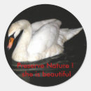 Search for white river stickers Water