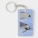 Search for emperor key rings Nature