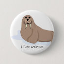 Search for walrus badges Arctic