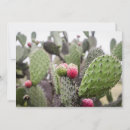 Search for edibles cards Fruit