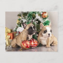 Search for french christmas cards Backlight