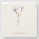 Search for eyes coasters Wildflower