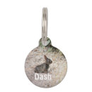 Search for tiny pet supplies Cute