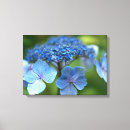 Search for blue hydrangea canvas prints Floral