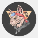 Search for cat fourth of july stickers Usa