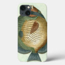 Search for big fish electronics Animal