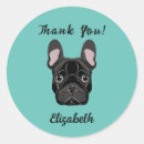 Search for french bulldog puppy stickers Thank you