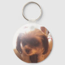 Search for fluffy dog key rings Poodle