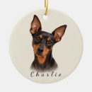 Search for min pin christmas tree decorations Miniature pinscher