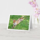 Search for stretched cards Animal