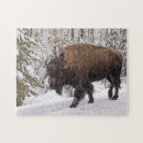 Search for bison puzzles Park