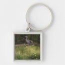 Search for herons key rings Nature