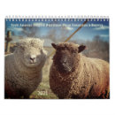 Search for ruminant Wool