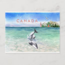 Search for orca whale postcards Canada