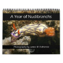 Search for sea life calendars Colourful