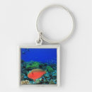 Search for stuart westmorland key rings Uninhabited