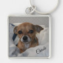 Search for new dog key rings Pets