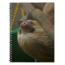 Search for zoo notebooks Photograph