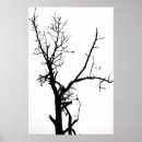 Search for bare trees posters Winter