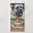 Search for mastiff christmas cards Pets