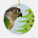 Search for conure christmas tree decorations Parrots