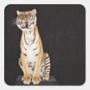 Search for front view stickers Studio shot