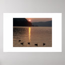 Search for adirondacks art Nature