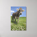 Search for activism canvas prints Nature