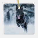 Search for shepherd christmas tree decorations Wolf