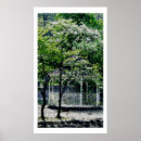 Search for gazebo posters Park