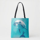 Search for bottlenose bags Dolphin