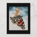 Search for emerging postcards Nature