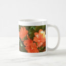 Search for begonia mugs Nature