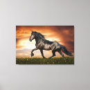 Search for black horse canvas prints Sunset